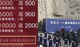 沈阳今日爆料电话多少啊,沈阳今日爆料电话大揭秘！